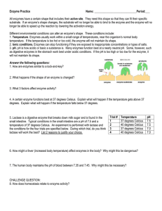 RAFT Activity GUIDELINES