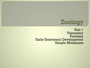 Zoology - Merrillville Community School