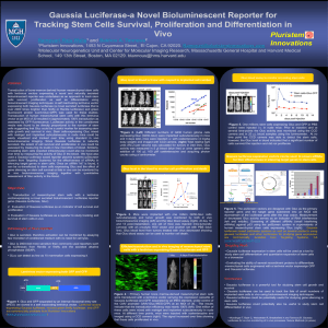 Gaussia Luciferase-a Novel Bioluminescent Reporter for Tracking