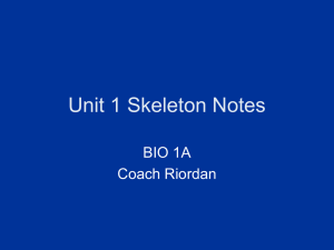 Unit 1 Skeleton Notes