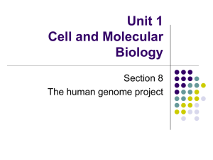 Unit 1 Cell and Molecular Biology