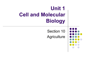 Unit 1 Cell and Molecular Biology