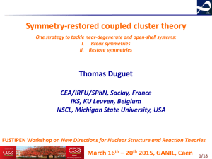 Symmetry-restored coupled-cluster theory - FUSTIPEN