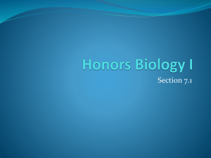 Honors Biology I