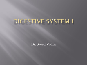 06-Digestive system I