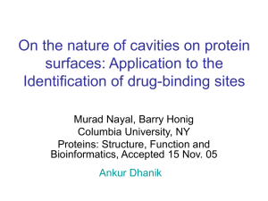 On the nature of cavities on protein surfaces: Application
