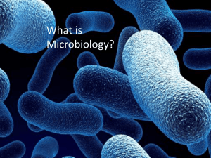 microbiology_intro