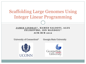 Scaffolding Large Genomes Using Integer Linear Programming