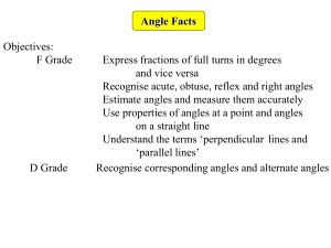 Angles between Parallel Lines Angle Facts