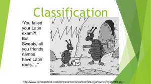 3.2. Classification