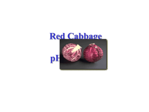 PowerPoint Presentation - Red Cabbage As pH Indicator