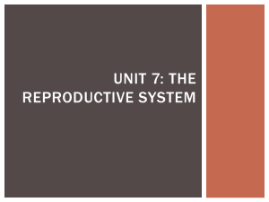 Unit 7: The Reproductive System