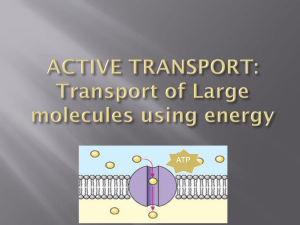 ACTIVE TRANSPORT: Transport of Large molecules using energy