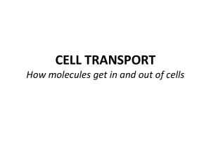 CELL TRANSPORT How molecules get in and out of cells?