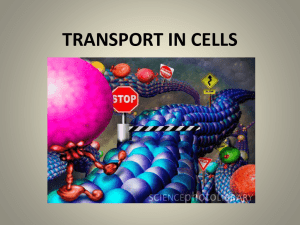 TRANSPORT IN CELLS Cell Membrane