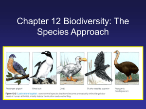 Chapter 12 Biodiversity: The Species Approach