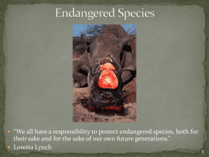 Endangered Species Slideshow