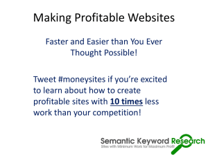 Making Profitable Websites