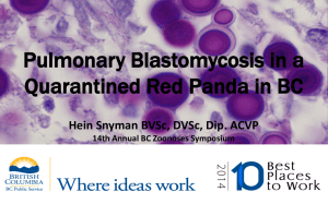 Pulmonary Blastomycosis in a Quarantined Red Panda (Ailurus