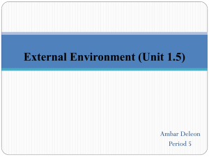 External Environment (Unit 1.5)
