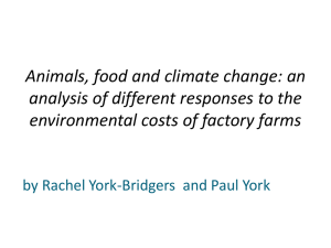 Animals, food and climate change