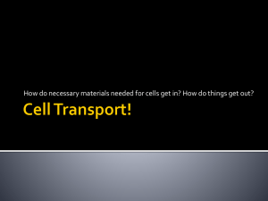 Cell Transport!