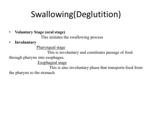 to Swallowing ppt