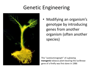 Recombinant DNA/DNA Technology