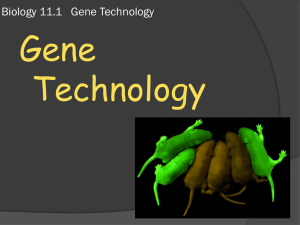 Biology 11.1 Gene Technology