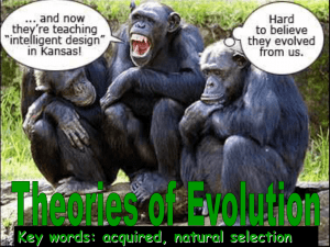 Biology 1b Evolution and Environment GCSE - science