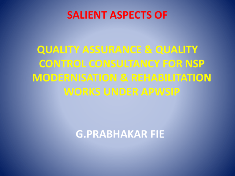 What Does Salient Aspects Mean