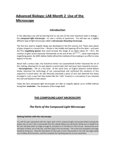 Month 2 Lab Microscopy!