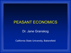 Peasant Economics - California State University, Bakersfield