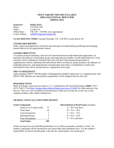 MNGT 3100 MNGT 3460 SECTION 005 SYLLABUS