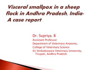 Visceral smallpox in a sheep flock in Andhra Pradesh