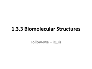 Biomolecular Structures ppt