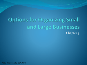 C5 Organizing Small and Large Businesses