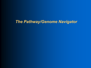 Pathway/Genome Navigator - Bioinformatics Research Group at SRI