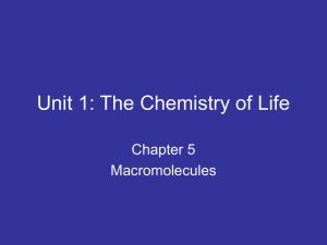 Unit 1: The Chemistry of Life