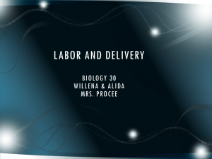 Labor and Delivery Biology 30 Willena & Alida Mrs. Procee