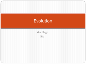 Evolution - mrsragoclass