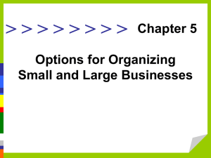 Options for Organizing Small and Large Businesses Chapter 5