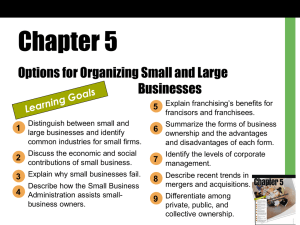 Chapter 5 - Option for Organizing Small and Large Businesses