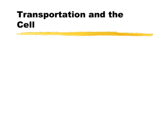 Transportation and the Cell