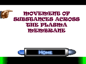 movement of substances across the plasma membrane