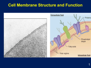 Cell Membrane Physiology