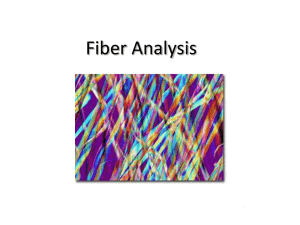 fiber - s3.amazonaws.com