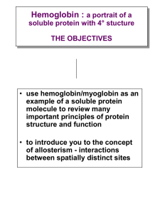 Haemoglobin : a portrait of a soluble protein with 4¡ stucture THE