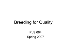 Breeding for Quality..
