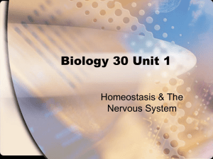 Biology 30 Unit 1